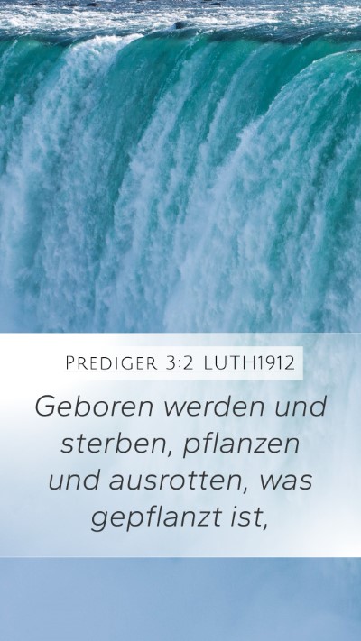 Prediger 3:2 LUTH1912 Bible Verse Image