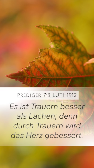 Prediger 7:3 LUTH1912 Bible Verse Image