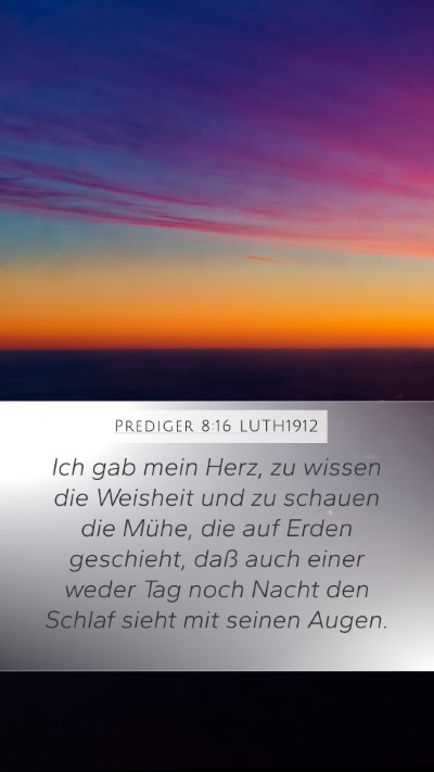 Prediger 8:16 LUTH1912 Bible Verse Image
