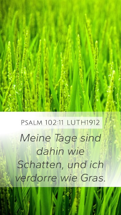 Psalm 102:11 LUTH1912 Bible Verse Image