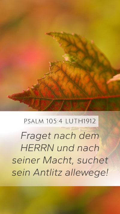 Psalm 105:4 LUTH1912 Bible Verse Image