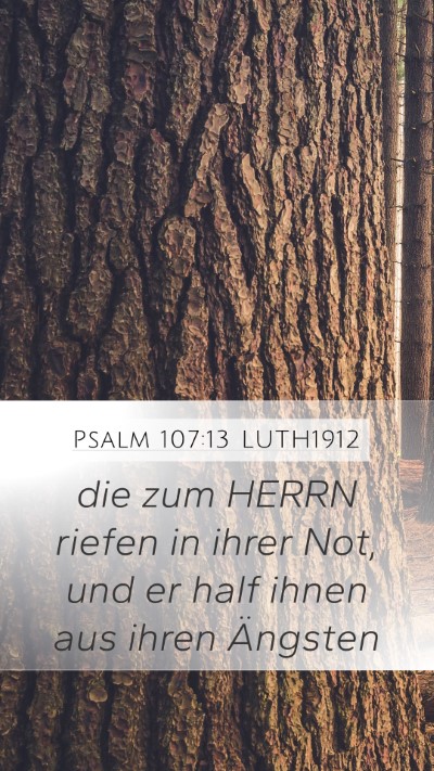 Psalm 107:13 LUTH1912 Mobile Phone Wallpaper - die zum HERRN riefen in ihrer Not, und er half - Mobile Bible Verse Wallpaper