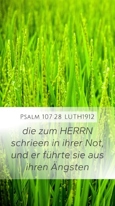 Psalm 107:28 LUTH1912 Bible Verse Image
