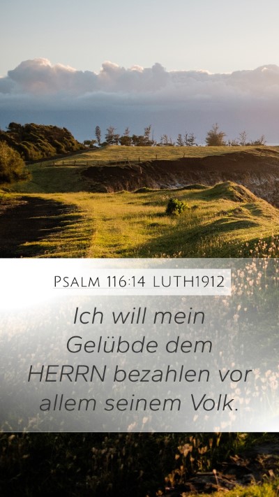 Psalm 116:14 LUTH1912 Bible Verse Image