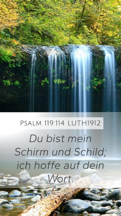 Psalm 119:114 LUTH1912 Bible Verse Image