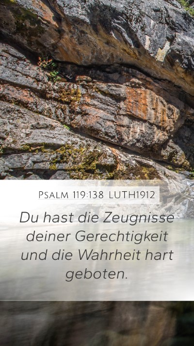 Psalm 119:138 LUTH1912 Bible Verse Image