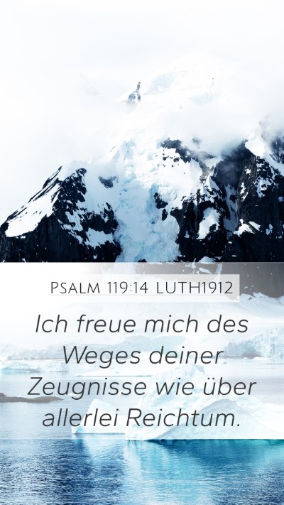 Psalm 119:14 LUTH1912 Bible Verse Image