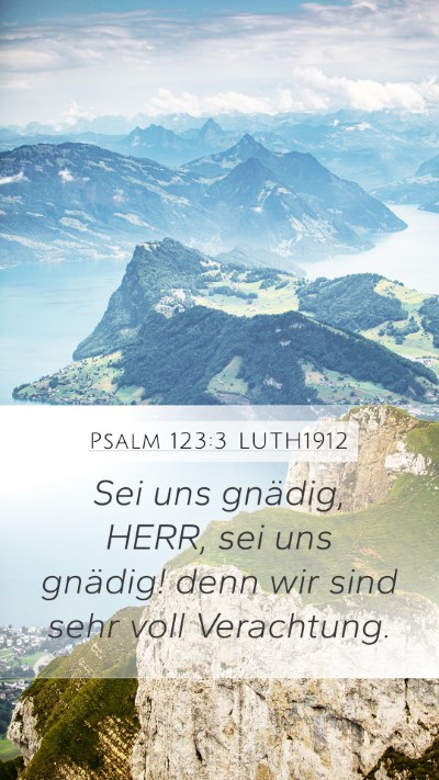 Psalm 123:3 LUTH1912 Bible Verse Image