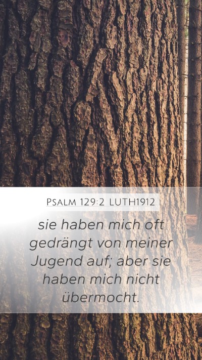 Psalm 129:2 LUTH1912 Bible Verse Image
