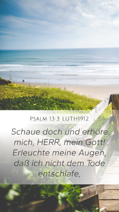 Psalm 13:3 LUTH1912 Bible Verse Image