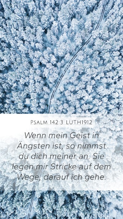 Psalm 142:3 LUTH1912 Bible Verse Image
