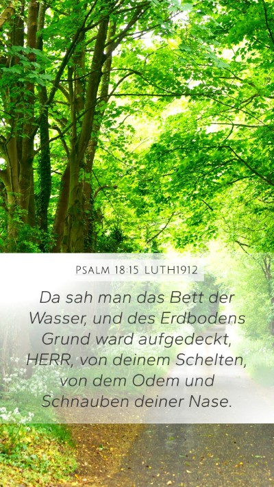 Psalm 18:15 LUTH1912 Bible Verse Image