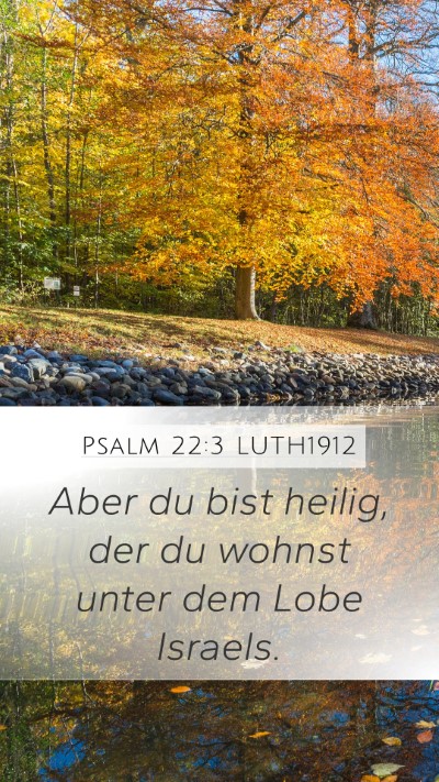 Psalm 22:3 LUTH1912 Mobile Phone Wallpaper - Aber du bist heilig, der du wohnst unter dem Lobe - Mobile Bible Verse Wallpaper