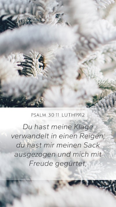 Psalm 30:11 LUTH1912 Bible Verse Image