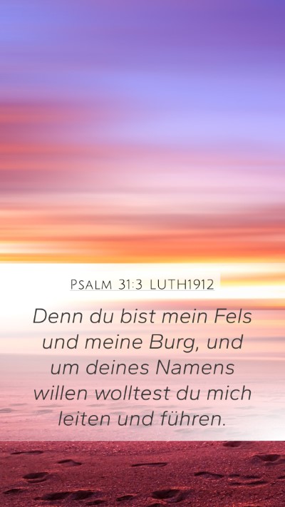 Psalm 31:3 LUTH1912 Bible Verse Image