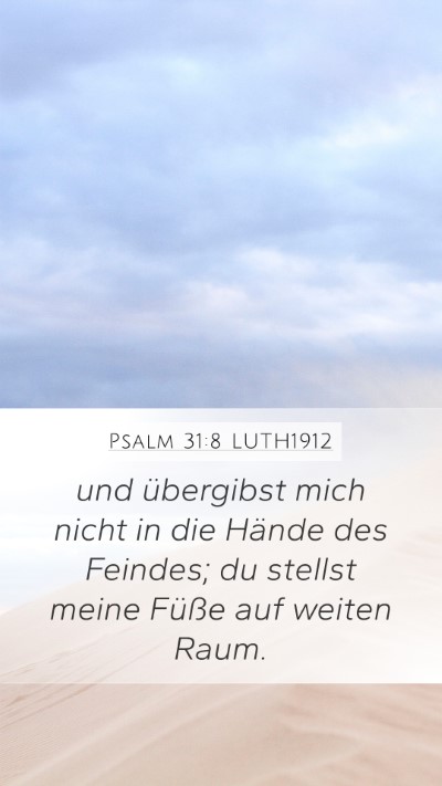 Psalm 31:8 LUTH1912 Bible Verse Image