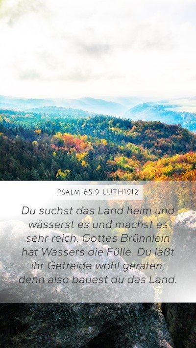 Psalm 65:9 LUTH1912 Bible Verse Image