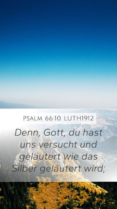 Psalm 66:10 LUTH1912 Bible Verse Image