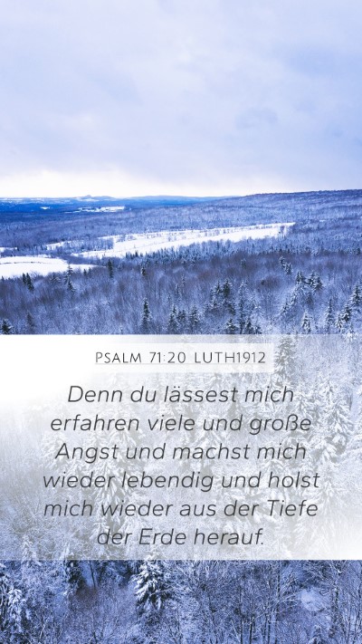 Psalm 71:20 LUTH1912 Bible Verse Image