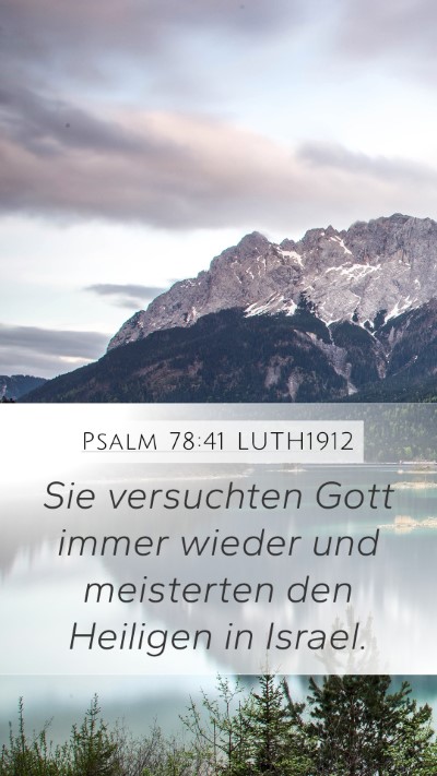 Psalm 78:41 LUTH1912 Bible Verse Image