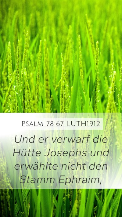 Psalm 78:67 LUTH1912 Bible Verse Image