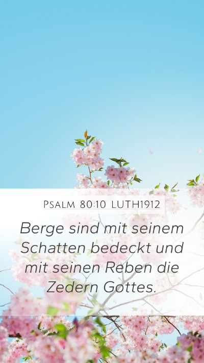 Psalm 80:10 LUTH1912 Mobile Phone Wallpaper - Berge sind mit seinem Schatten bedeckt und mit - Mobile Bible Verse Wallpaper