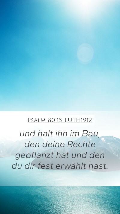 Psalm 80:15 LUTH1912 Bible Verse Image