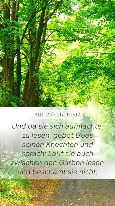 Rut 2:15 LUTH1912 Mobile Phone Wallpaper - Und da sie sich aufmachte, zu lesen, gebot Boas - Mobile Bible Verse Wallpaper