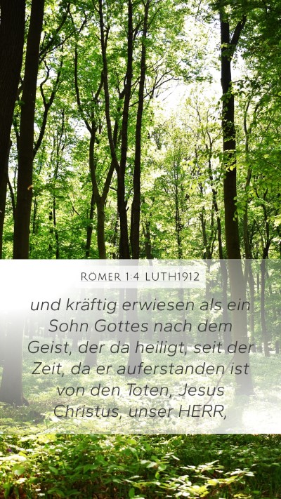 Römer 1:4 LUTH1912 Bible Verse Image