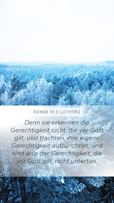 Römer 10:3 LUTH1912 Bible Verse Image