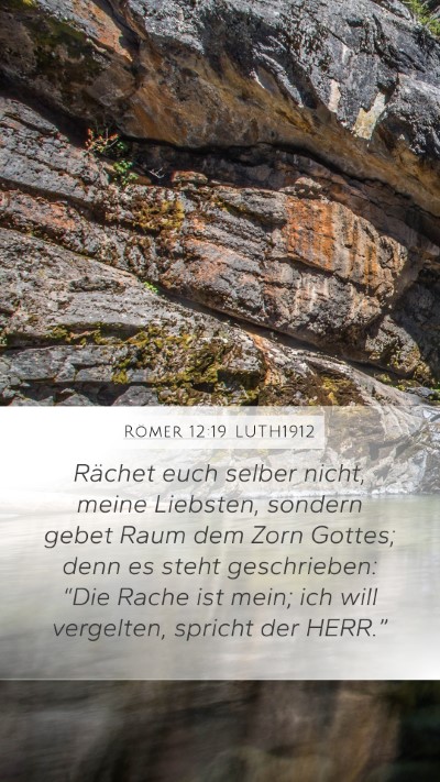 Römer 12:19 LUTH1912 Bible Verse Image
