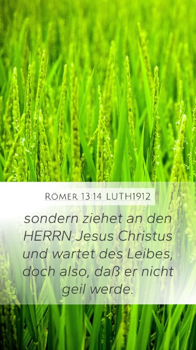 Römer 13:14 LUTH1912 Bible Verse Image