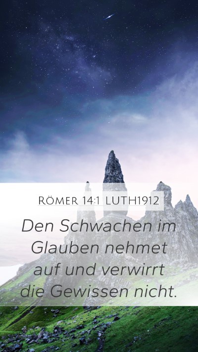Römer 14:1 LUTH1912 Bible Verse Image