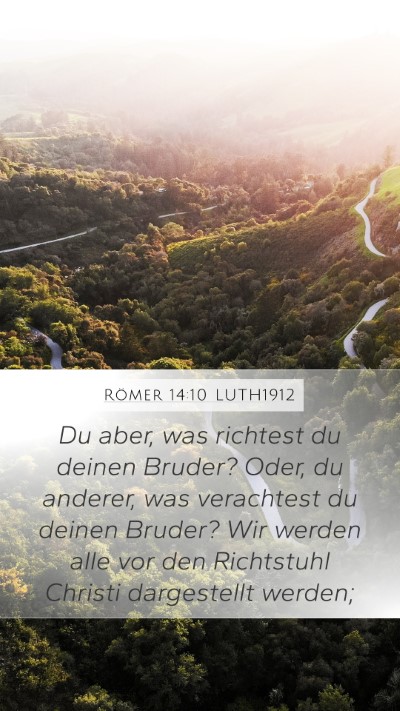 Römer 14:10 LUTH1912 Bible Verse Image