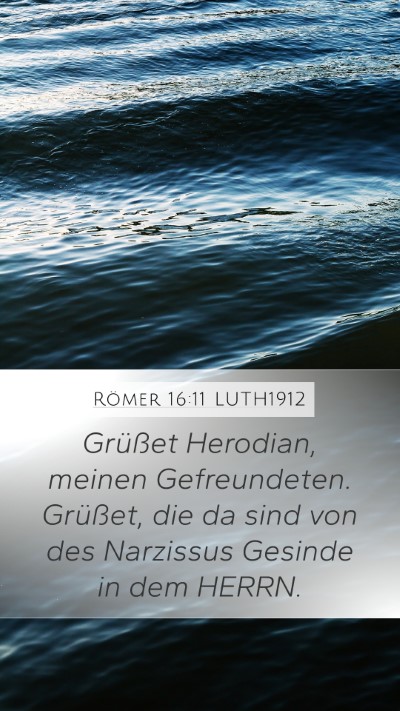 Römer 16:11 LUTH1912 Bible Verse Image