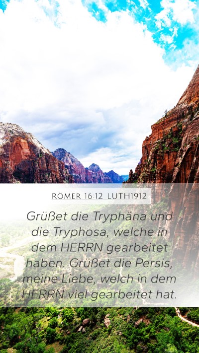 Römer 16:12 LUTH1912 Bible Verse Image