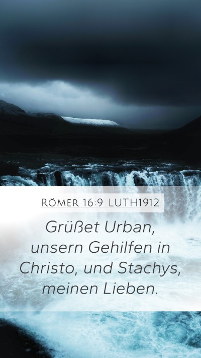 Römer 16:9 LUTH1912 Bible Verse Image