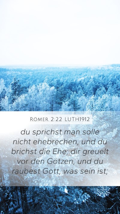 Römer 2:22 LUTH1912 Bible Verse Image