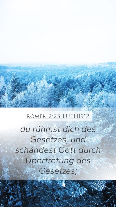 Römer 2:23 LUTH1912 Bible Verse Image