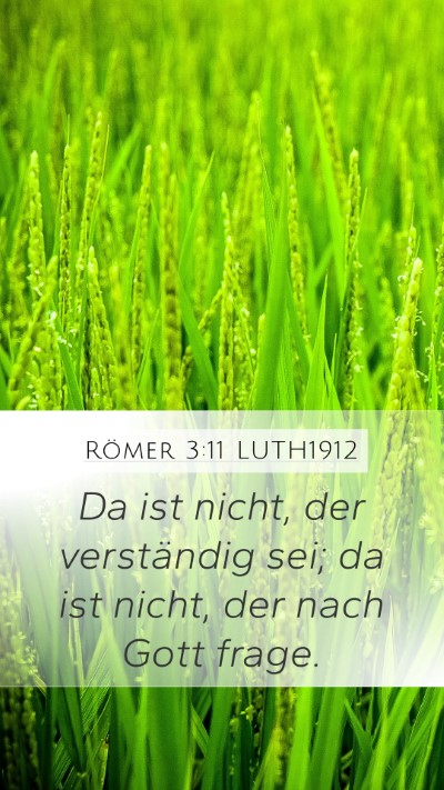 Römer 3:11 LUTH1912 Bible Verse Image