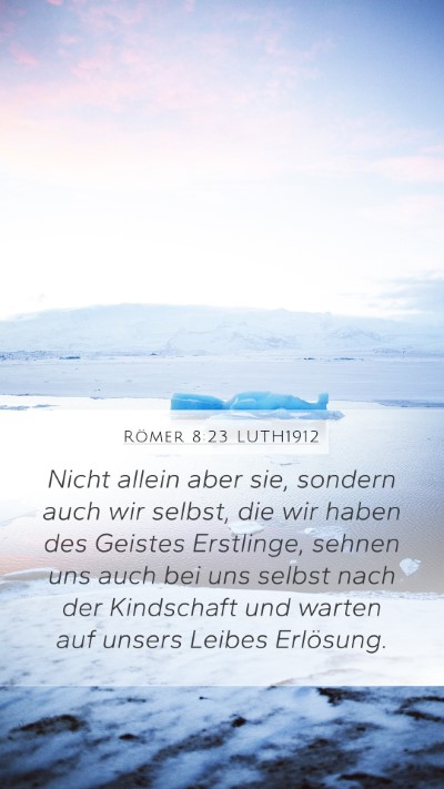 Römer 8:23 LUTH1912 Bible Verse Image