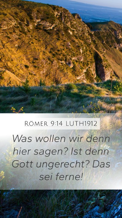 Römer 9:14 LUTH1912 Bible Verse Image