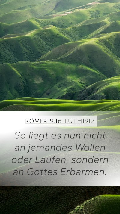 Römer 9:16 LUTH1912 Bible Verse Image