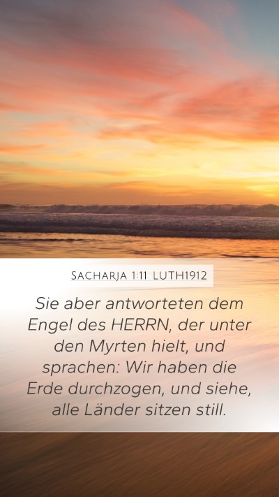 Sacharja 1:11 LUTH1912 Bible Verse Image