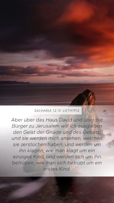 Sacharja 12:10 LUTH1912 Bible Verse Image