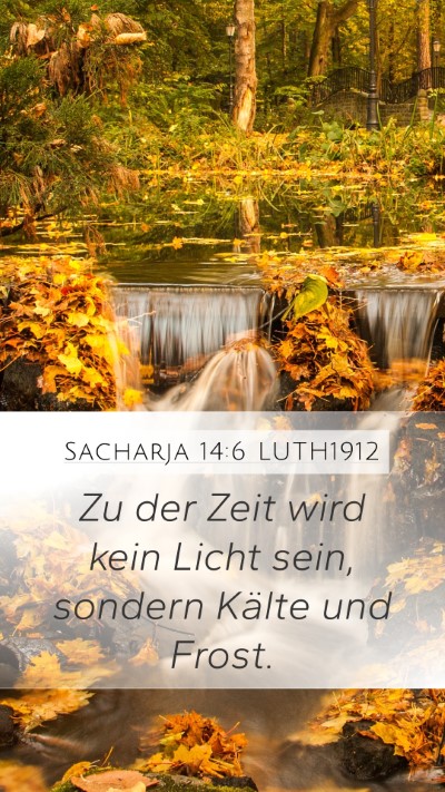 Sacharja 14:6 LUTH1912 Bible Verse Image