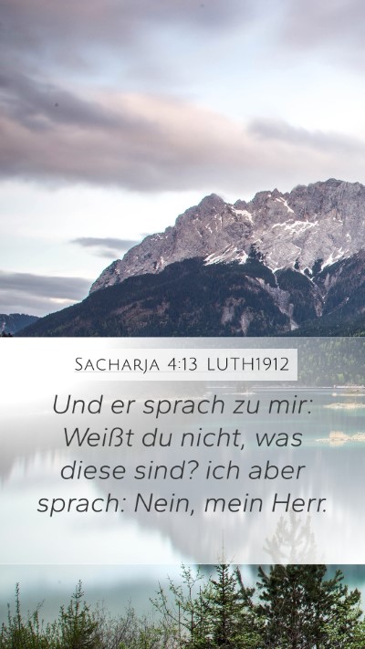 Sacharja 4:13 LUTH1912 Bible Verse Image