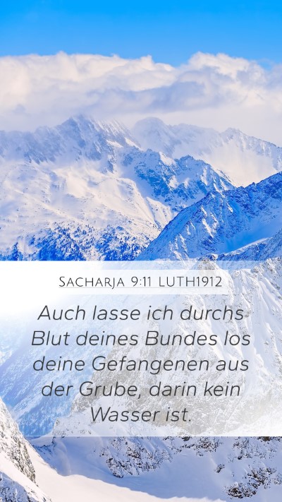 Sacharja 9:11 LUTH1912 Bible Verse Image