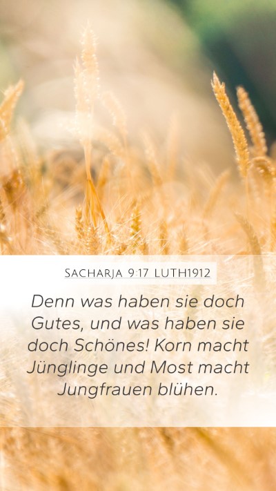 Sacharja 9:17 LUTH1912 Bible Verse Image