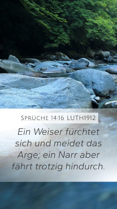 Sprüche 14:16 LUTH1912 Bible Verse Image